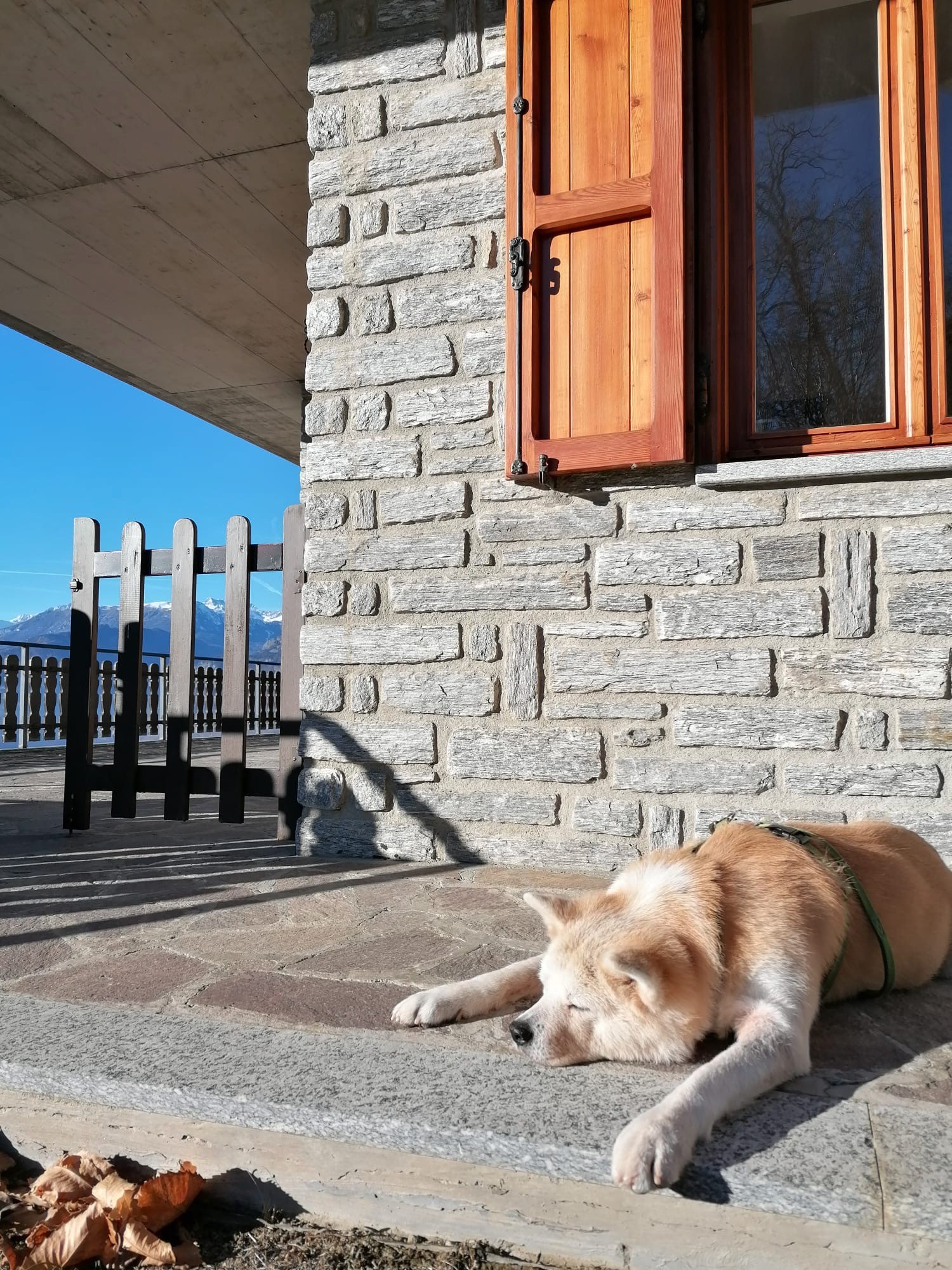 Sami si rilassa al sole